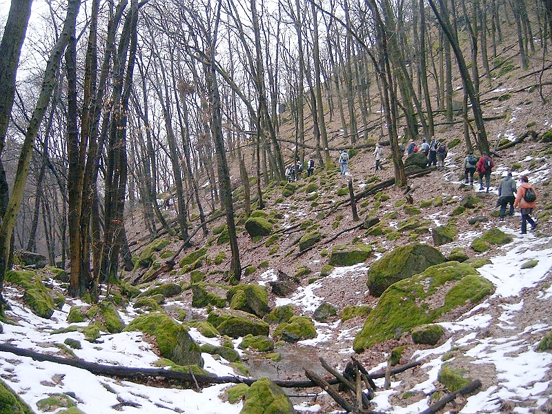 20100220 058.jpg